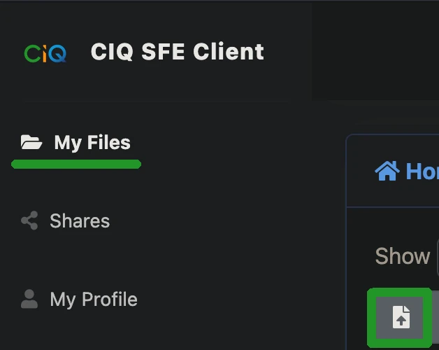 An image showing the CIQ SFE Client's My Files section and highlighting the "Upload" button that can be clicked to open the file upload dialogue box.